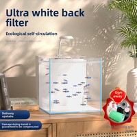 Petit aquarium de bureau en verre ultra-blanc avec filtre arrière, paysage aquatique sans eau, design écologique pour personne paresseuse, idéal pour les poissons rouges