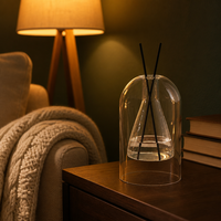 Bouteille diffuseur à roseaux ODIS 250 ml en verre borosilicate double couche, sans alcool, de luxe, givrée, rechargeable, pour huiles essentielles