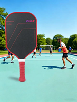 Ensemble de raquettes de pickleball en fibre de carbone T700 standard USAPA, noyau en nid d'abeille, cadre en fil de titane, raquette de pickleball professionnelle Omni