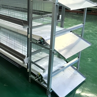 Nouvelle cage à poulets de type H, système de nettoyage manuel du fumier à manivelle, acier de haute qualité, haute productivité pour élevage avicole