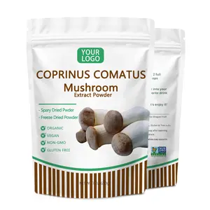 Polvo de hongo Coprinus Comatus al por mayor, extracto orgánico de Coprinus Comatus
