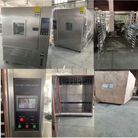 Machine de fermentation d'ail noir, machine à ail noir, pot de séchage puissant pour ail