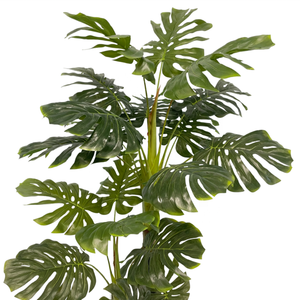 Pas cher Prix Turtleback Bonsaï Arbre Grand <span class=keywords><strong>Monstera</strong></span> Feuilles De Mariage Résistant En Plastique Pot Bureau Paysage Décor Plante Artificielle - Product Image 5