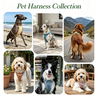 Ensemble collier et laisse pour chien en cuir PU gaufré façon croco, avec logo personnalisé, noir avec accessoires en or rose, petite médaille pendentif, kit de promenade pour animaux de compagnie
