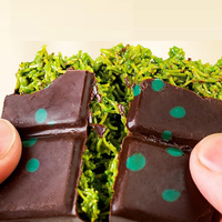 Fournisseur Professionnel OEM de Chocolats de l'Usine de Dubaï pour Acheteurs en Gros Emballage Cadeau avec Saveurs Poids Bonbons Confitures Barre Motif