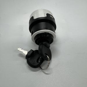 مفتاح تشغيل بـ 10 سنون مع مفتاحين 701/80184 85804674 01182528 لمحركات IH BFM1013 F2L2011 743 844 745S - Product Image 3