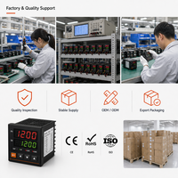 Contrôleur de température numérique PID industriel à réglage automatique K PT100 Sortie relais SSR IP65 Résolution 0,1°C Port série OEM Plastique