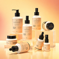 Emballage OEM en verre pour kit de soins de la peau, flacon compte-gouttes 30ml/60ml/120ml, pot de masque de nuit de précision, pour l'approvisionnement des chaînes de spas