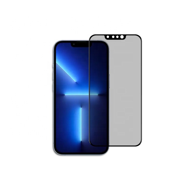 Wholesale High Quality 360 Degree Privacy Anti Blue Light Tempered Glass 9H Hardness 2.5D Radian Screen Protector for 12