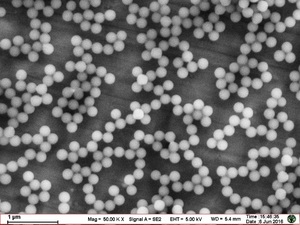 Microsphères de polystyrène fonctionnelles COOH à faible polydispersion pour l'étalonnage des particules et les tests de calibration des membranes de filtration d'eau - Product Image 4
