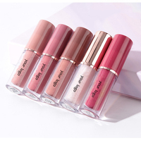 Maquillage de Noël en gros, 12 couleurs, gloss à lèvres liquide mat vegan longue durée, kit de rouge à lèvres cadeau, ensembles de gloss à lèvres personnalisés
