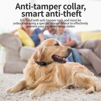 Collar Localizador GPS 4G para Mascotas V41 con Aplicación AnyTracking - Ubicación en Tiempo Real, IP67, 1300mAh, SOS y Monitor de Voz