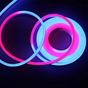 LED Neon Flexible RGB Silicone DC12V IP65 Carnival Decoration for Hotel & Garden Use RoHS Approved - Product Image 1