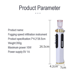 Handheld Nano Mist Ion Spray Device Professional Nutrient Introduction Beauty Equipment - Product Image 6