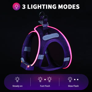 Kasa Logo kustom tipe-c dapat diisi ulang rompi hewan peliharaan Led dapat bernafas <span class=keywords><strong>Harness</strong></span> anjing untuk anjing kecil dan <span class=keywords><strong>Mini</strong></span> - Product Image 2
