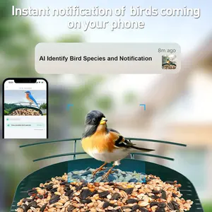 Comedero para pájaros al aire libre con cámara pájaro visión remota AI alimentador <span class=keywords><strong>de</strong></span> pájaros captura fotos videos jardín alimentador <span class=keywords><strong>de</strong></span> pájaros inteligente - Product Image 3