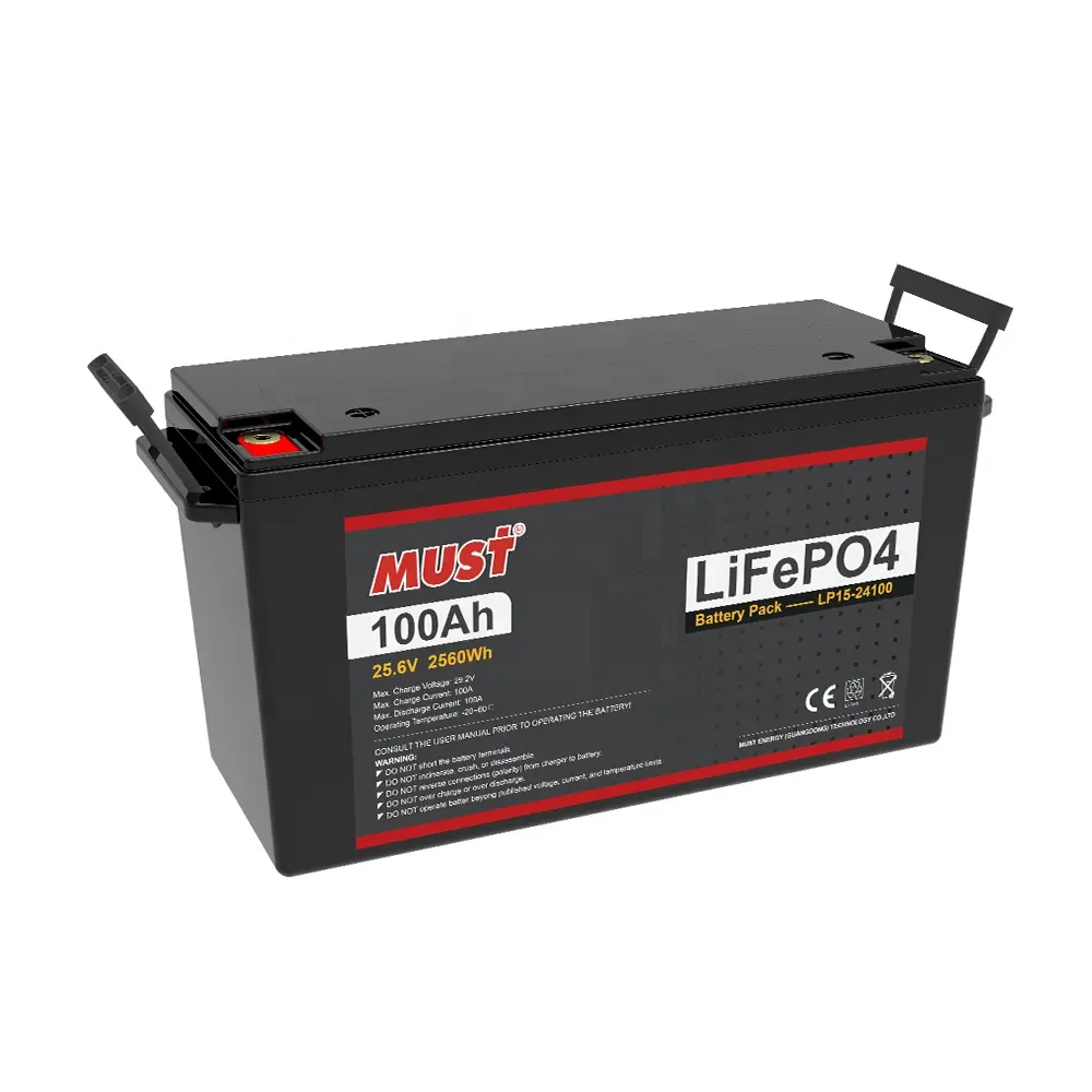 120Ah 200Ah 25.6v MUST OEM brand LiFePo4 lithium battery with safety test report for power government project