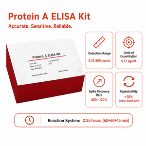 Kit ELISA de Proteína <span class=keywords><strong>A</strong></span> para la detección de Proteína <span class=keywords><strong>A</strong></span> en intermediarios, productos semielaborados y productos farmacéuticos - Product Image 2