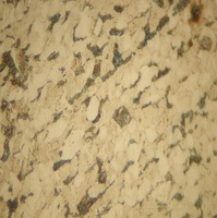 BestScope BS-6002TTR Reflected and Transmitted Trinocular Metallurgical Microscope for Metal and Alloy Observation