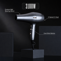 Sèche-cheveux électrique professionnel en gros, vent puissant, ions négatifs, voyage, 3000 W, air chaud et froid