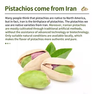 HENGZHI Crema Spalmabile Commerciale al Pistacchio e Frutta per Pane, Biscotti, Dessert e Ingredienti per Tè al Latte - Product Image 3
