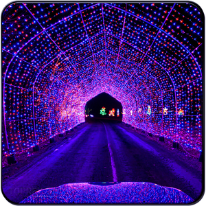 Guirlande lumineuse LED personnalisée blanc chaud RGB en forme <span class=keywords><strong>de</strong></span> fleurs <span class=keywords><strong>de</strong></span> cerisier, lumières décoratives d'<span class=keywords><strong>extérieur</strong></span> <span class=keywords><strong>pour</strong></span> festivals, Noë<span class=keywords><strong>l</strong></span>, fées, mariages, décorations d'arbres - Product Image 5