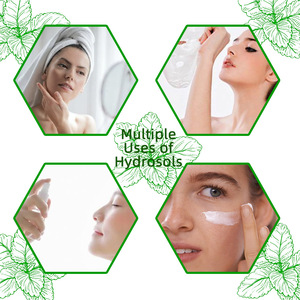 Fabricante de fábrica de bálsamo de limón Natural, hidrosol <span class=keywords><strong>Melissa</strong></span> hidrolato para el cuidado de la piel - Product Image 5