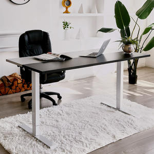 Ergonomic Office Computer <strong>Table</strong> Electric <strong>Height</strong> <strong>Adjustable</strong> Desk Single Motor Electric Desk Frame - Product Image 1
