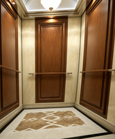 Ascensore Passeggeri Fareo Moderno in Acciaio Inox Senza Ingranaggi AC - Durevole, Sicuro, Facile Installazione e Funzionamento, per Appartamenti