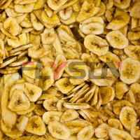 Automatische fruitdroogmachine voor appel, selderij, aardbei, bosbes, framboos, grote capaciteit dehydrator