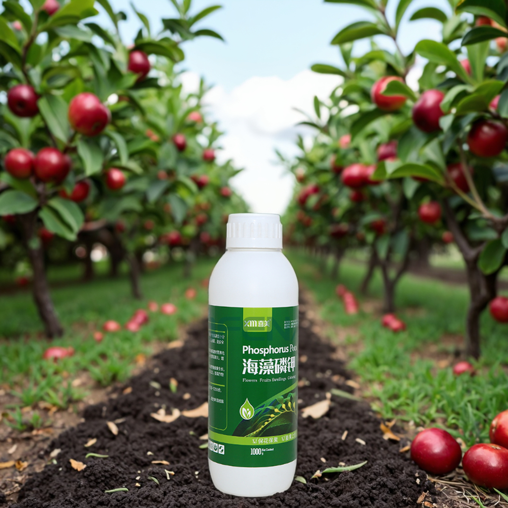 Wholesale Seaweed PK 0-350-450 Liquid Fertilizer for Vineyards