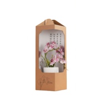 Boîtes d'expédition pour plantes en carton ondulé biodégradable, solutions d'emballage personnalisées pour plantes, boîtes de transport écologiques pour plantes