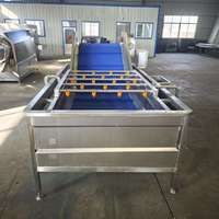 Industriële Eco-Efficiënte Hogedruk Belletjesreinigingsmachine Motor Slimme Besturing RVS Groente- en Fruitverwerking