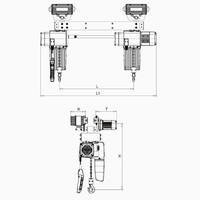 Espacement de crochet personnalisé 220V-460V M5 palan à chaîne électrique avec deux crochets pour levage simultané