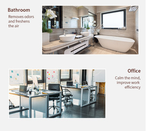 Sản Phẩm Spa 100% Tinh Khiết Tự Nhiên Hữu Cơ 10Ml Tinh Khiết Tự Nhiên Tinh Dầu Massage Cây Trà Hương Thơm Hương Liệu Tinh Dầu - Product Image 4