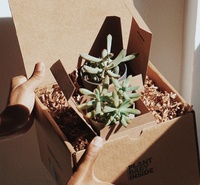 Boîtes d'emballage ondulé en papier kraft pour plantes boîtes d'expédition boîtes d'expédition rigides pour plantes succulentes
