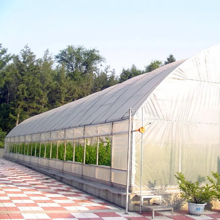 Sistema idroponico poli film protetto hoop tunnel house agricoltura cinese serra serra agricoltura