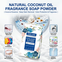 Lessive en poudre 500g parfum noix de coco pour le nettoyage des vêtements, marque privée OEM, vente en gros