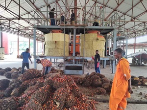 Planta <span class=keywords><strong>de</strong></span> Extracción <span class=keywords><strong>de</strong></span> Aceite <span class=keywords><strong>de</strong></span> Palma Roja Africana <span class=keywords><strong>de</strong></span> 1-2 TPH a partir <span class=keywords><strong>de</strong></span> Racimos <span class=keywords><strong>de</strong></span> Palma Frescos - Product Image 2