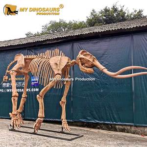 Mon Dino A547 Glaciaire Animal Grandeur Mammouth Fossiles pour Musée - Product Image 1