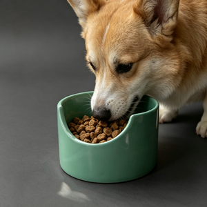 Bol d'alimentation pour animaux de compagnie en céramique antibactérienne à ions négatifs, non toxique, sans plomb, sans cadmium, pour chat et chien - Product Image 4