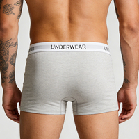 Nouveau style de caleçons en coton respirants pour hommes, de haute qualité, avec ceinture élastique de luxe, caleçons pour hommes, logo personnalisé, poche à balle, sous-vêtements ODM