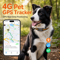 Perangkat Pelacak GPS Mini untuk Hewan Peliharaan Pelacakan Waktu Nyata Alarm Geo-fence Baterai Tahan Lama Jaringan 4G Tag Kalung Anti-Hilang Riwayat Rute