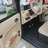 NUEN Réduisez la facture de carburant, pas la puissance : Pick-up électrique, capacité de charge maximale 600 kg, moteur 1000 W, pour le transport de marchandises