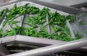 Comida árbol escaldado cocinar hornear máquina - Product Image 6