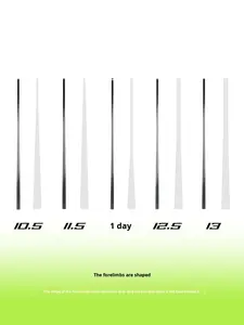 Queue <span class=keywords><strong>de</strong></span> billard en fibre <span class=keywords><strong>de</strong></span> carbone, joint avant noir, 11,8 mm, tête moyenne, neuf boules et huit boules, Chine - Product Image 2