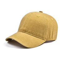 Kinderen Baseball Pet met Aangepaste Logo Borduring Gewassen Katoen 6-Panel Vintage Blank Dad Hat Kinderen Peuter Verstelbare Sport Zonnepet