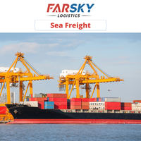 Farsky Logistics LCL+Express Conteneur maritime vers l'Allemagne Europe avec service DDP/DDU Assurance incluse