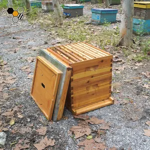 Wax Coated Langstroth Beehive 10 Frame Complete Hives Kit Beekeeping Equipment Wooden Honey Bee Hive Box For Bees