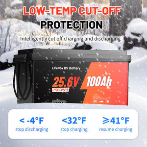 Esg Us Voorraad Lifepo4 Batterij Pack 12.8V/25.6V 100ah 200ah Smart Bms 6000 Cycli Oplaadbare Lithium Batterij Pak Abs Geval - Product Image 3